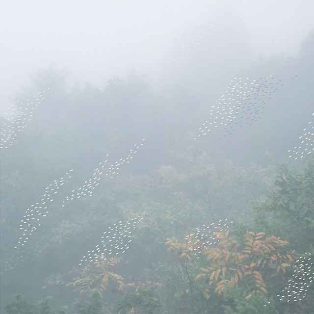 White Paddy Mountain cover art