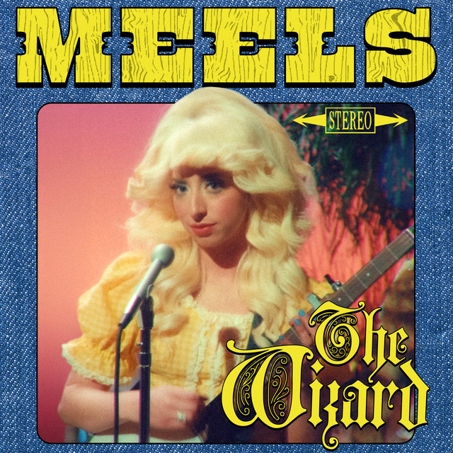 The Wizard cover art