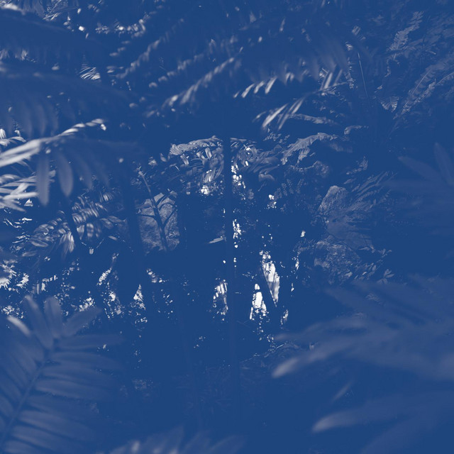 Hypnagogia cover art