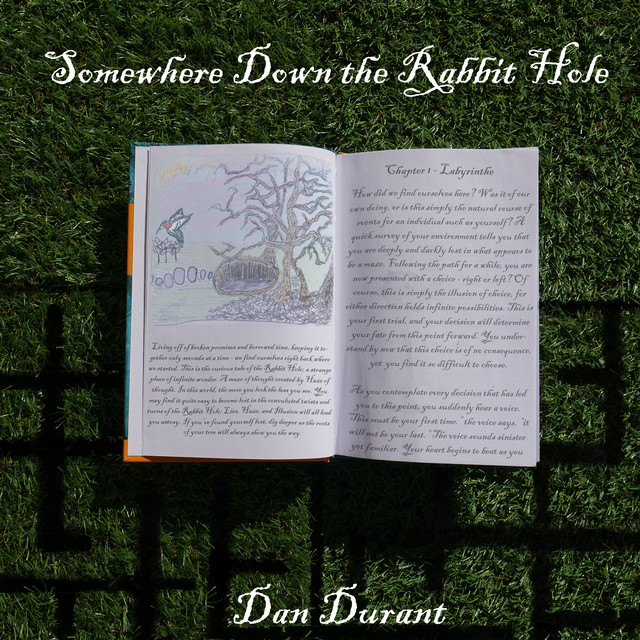 Somewhere Down the Rabbit Hole cover art