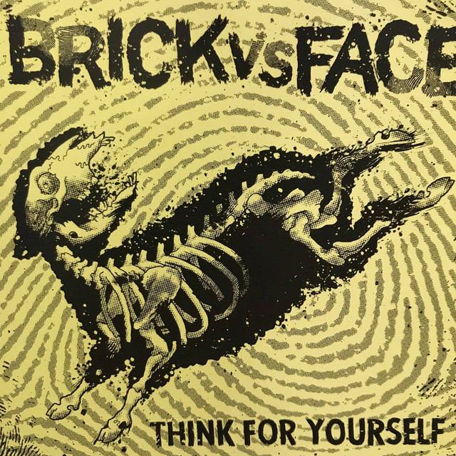 Brick vs Face Photo
