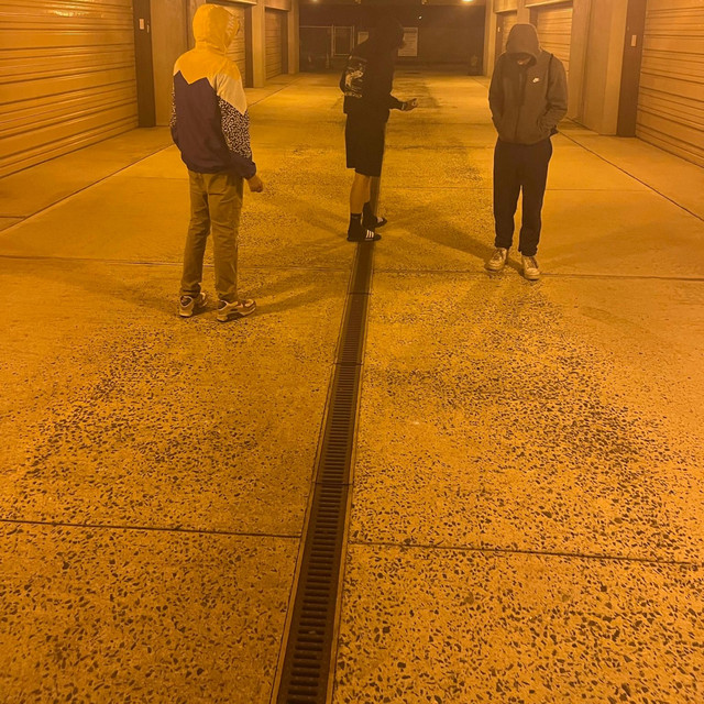 Like Me cover art