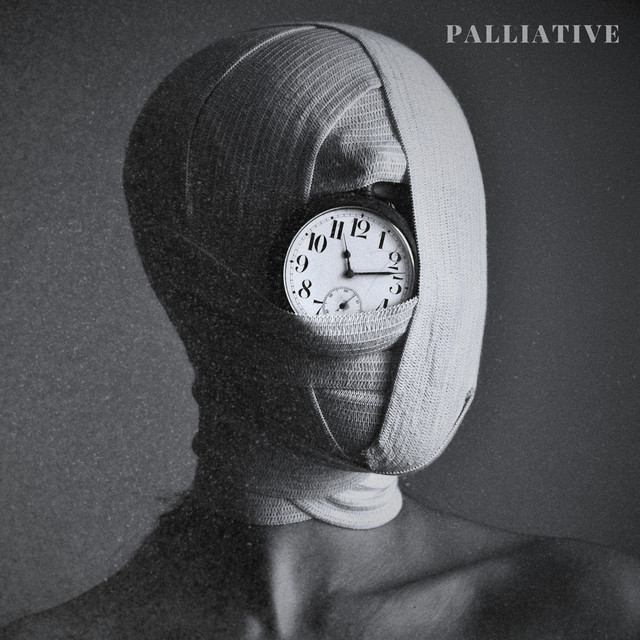 Обкладинка Palliative — Wanderer