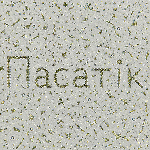 Обкладинка: Пасатік — berfer