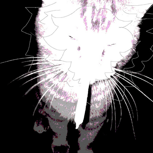 lever cover art