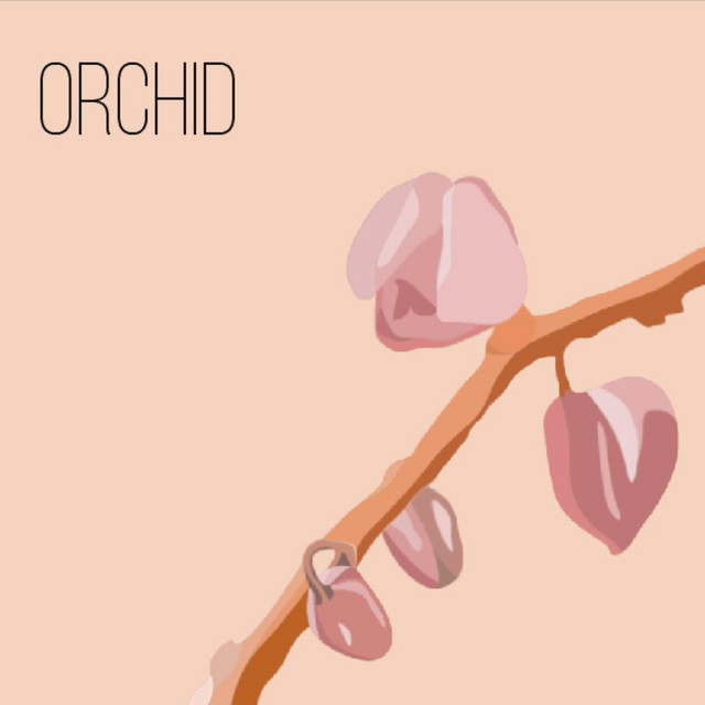 Orchid cover art
