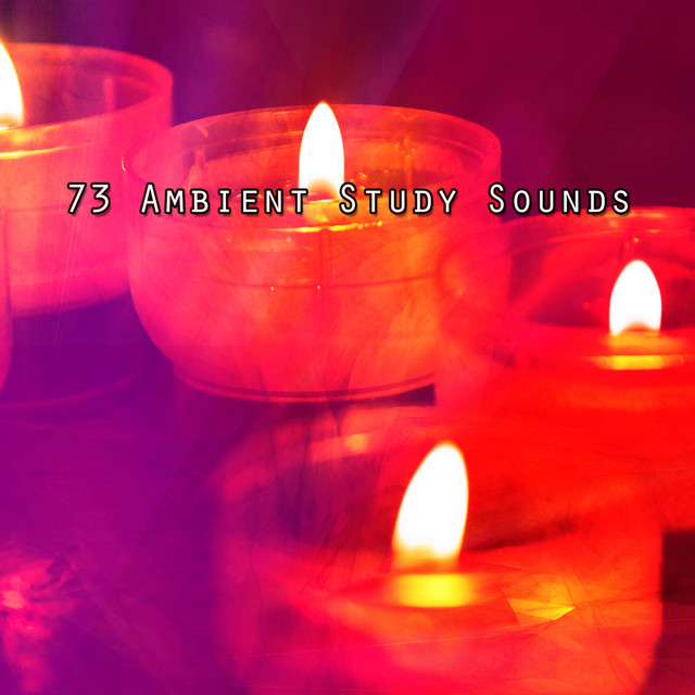 73 Ambient Study Sounds cover art