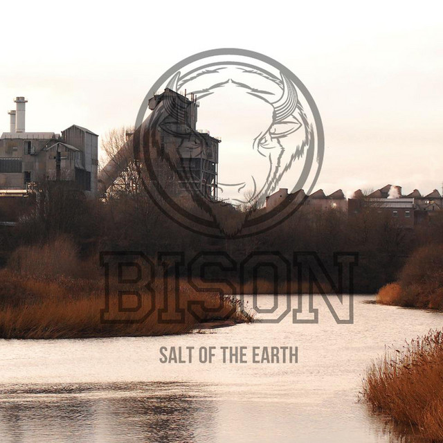 Salt of the Earth cover