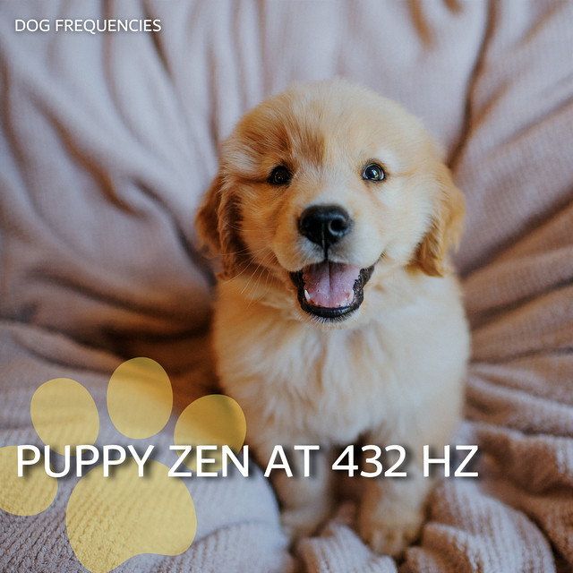 Dog Frequencies