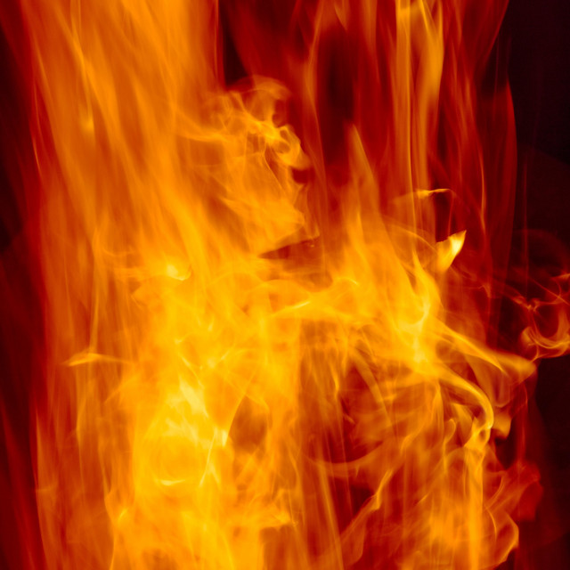 Burn cover art
