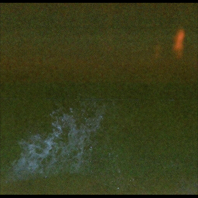 In Absence cover art
