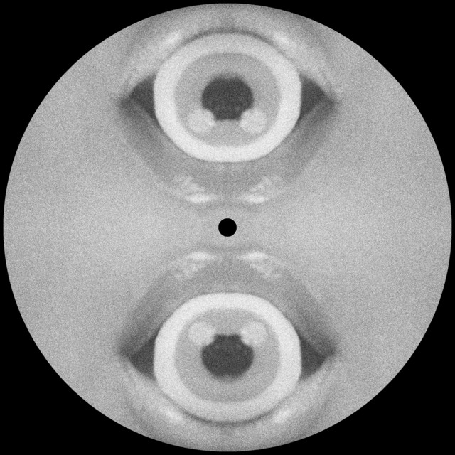 CQNZR. - Vision
