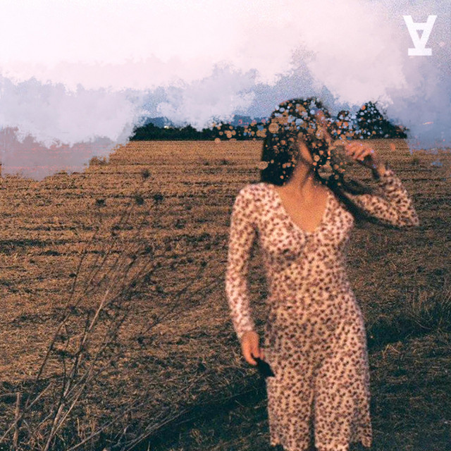 Lei cover art