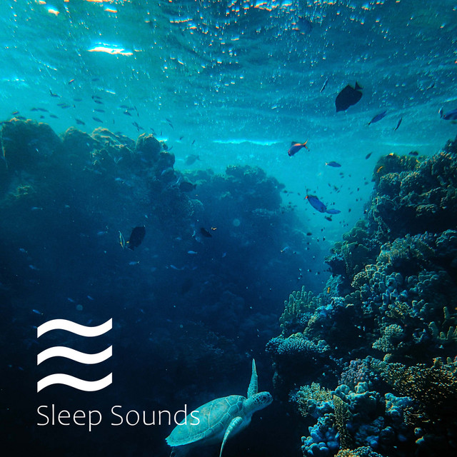 Calming Baby Down Ocean Soothing Noises cover art