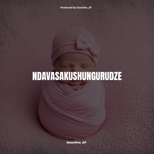 Ndavasakushugurudze cover art