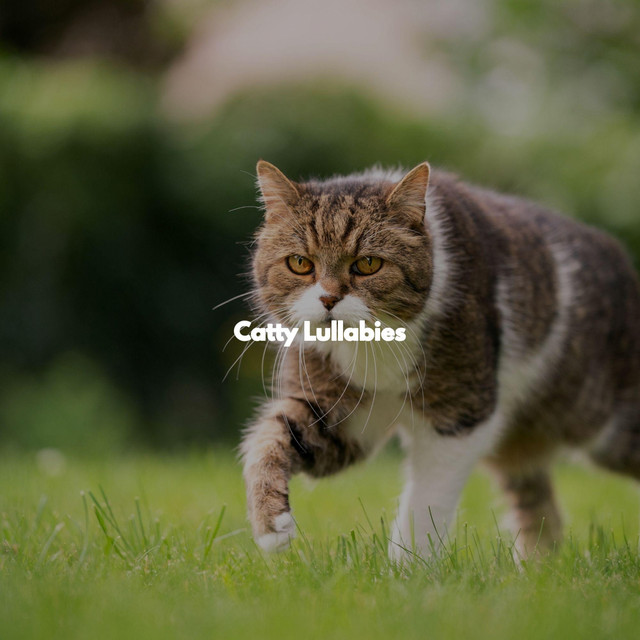 Catty Lullabies cover art