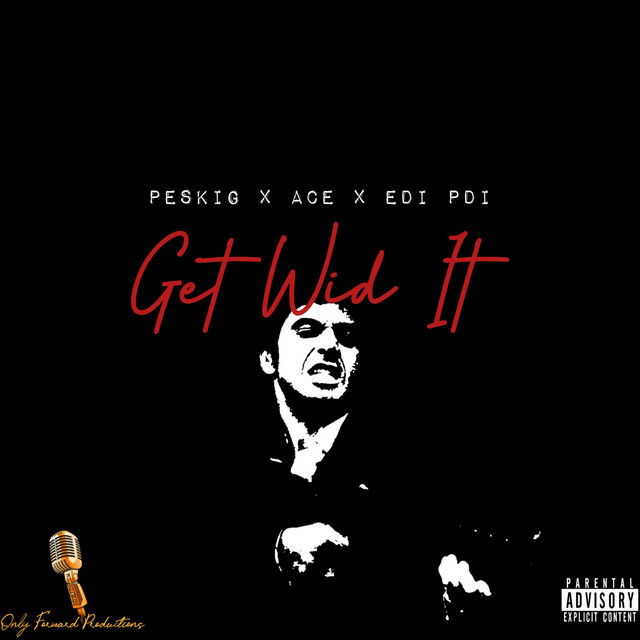 Get Wid It cover art