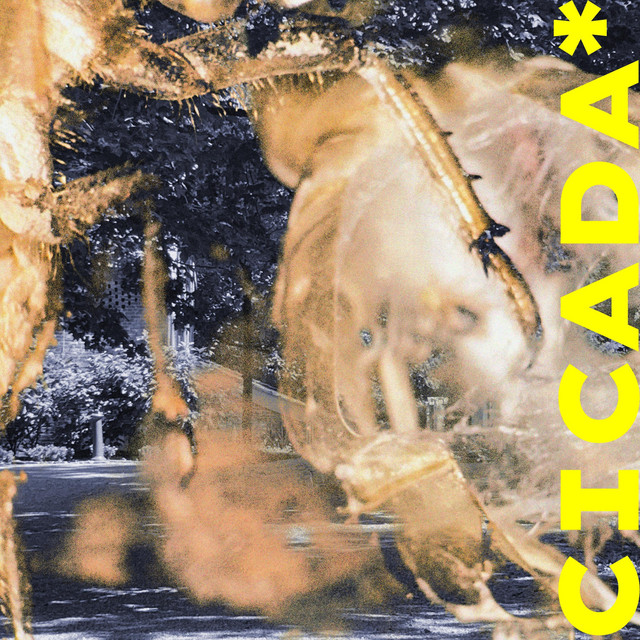 CICADA* cover art
