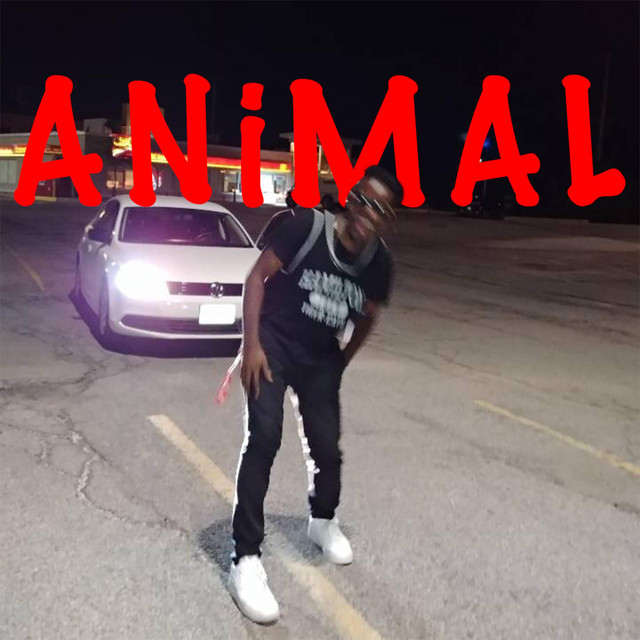 Animal