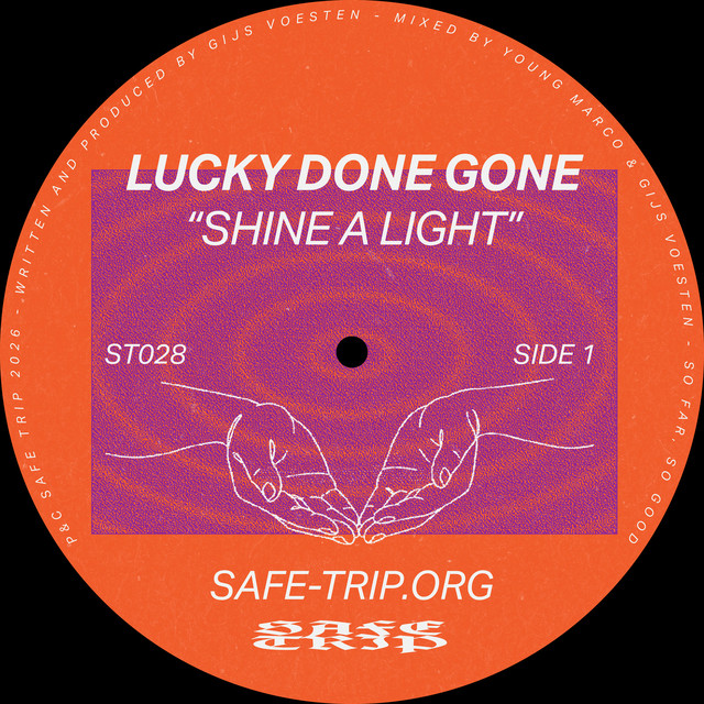 Shine a Light cover art