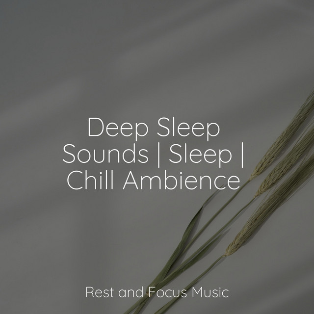 Deep Sleep Sounds | Sleep | Chill Ambience - Album by Soothing White ...