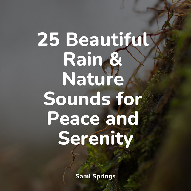 25 Beautiful Rain & Nature Sounds for Peace and Serenity - Album by ...