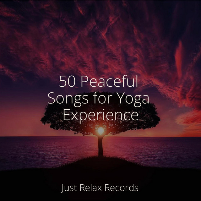 50 Peaceful Songs for Yoga Experience - Album by Spa & Spa | Spotify