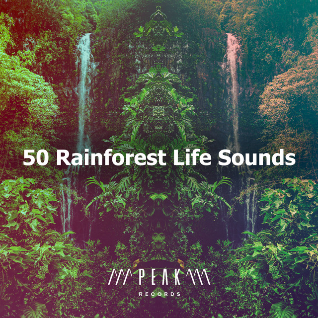 50 Rainforest Life Sounds - Album by Rainforest Sounds | Spotify