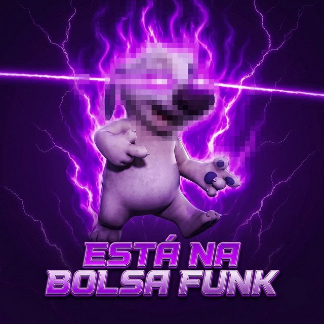 ESTÁ NA BOLSA FUNK