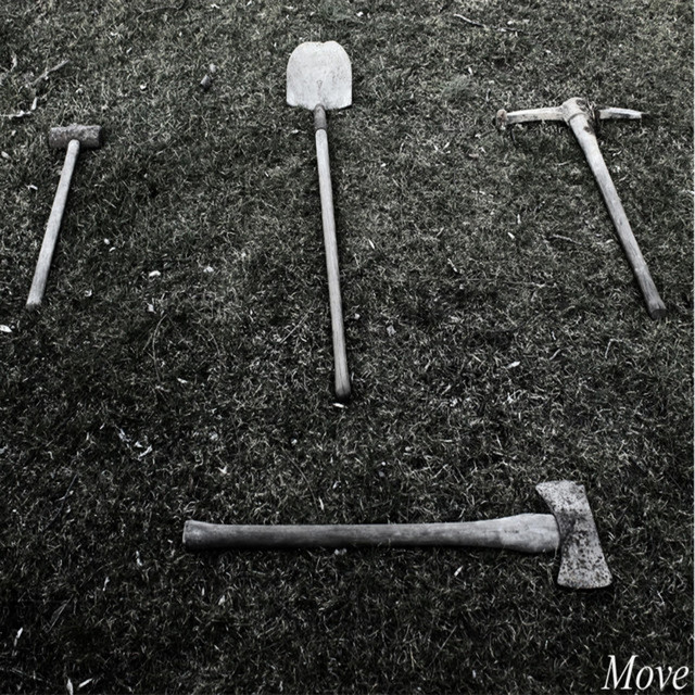 Light cover art