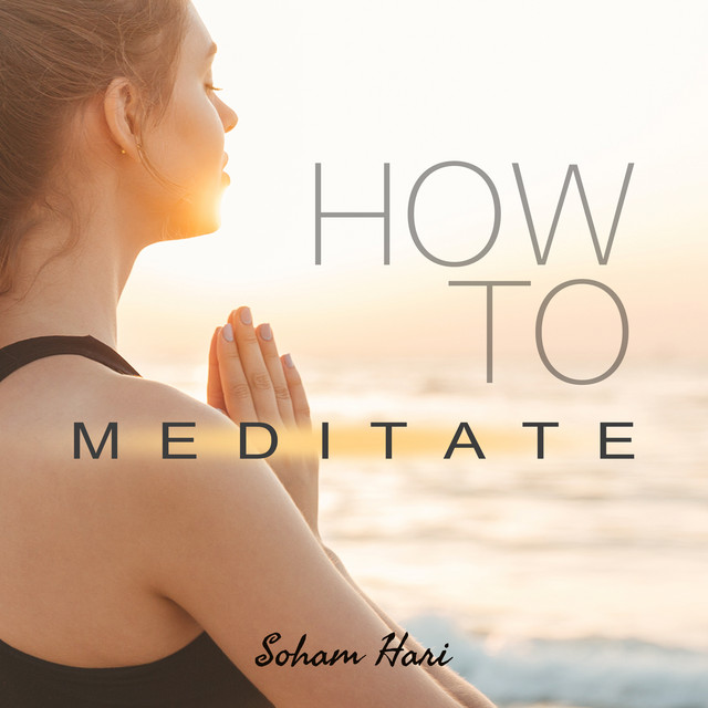 How to Meditate cover art