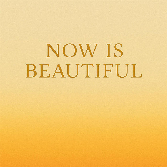 Обкладинка Vens Adams — Now Is Beautiful