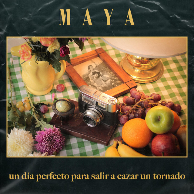 Un Día Perfecto para Salir a Cazar un Tornado cover art
