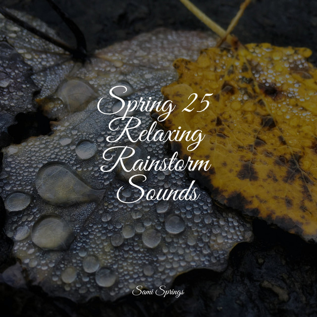 Spring 25 Relaxing Rainstorm Sounds - Album by Natural Sounds | Spotify