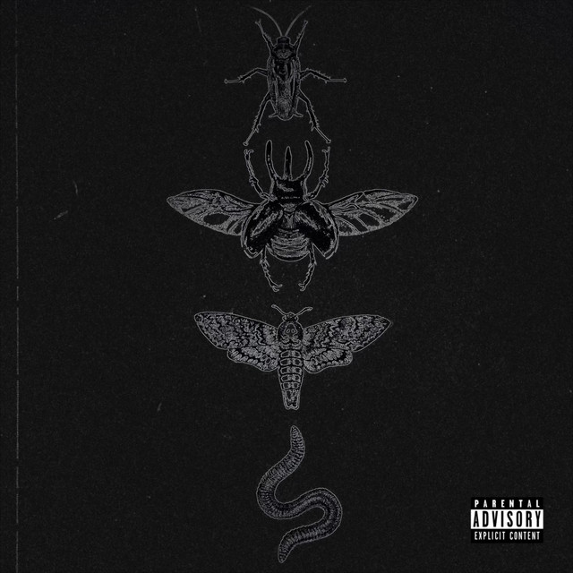 1x1 cover art