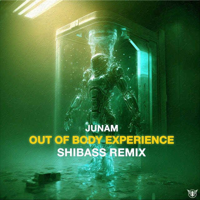Out of Body Experience - Shibass Remix