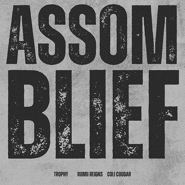 ASSOMBLIEF.