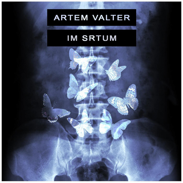 Im Srtum cover