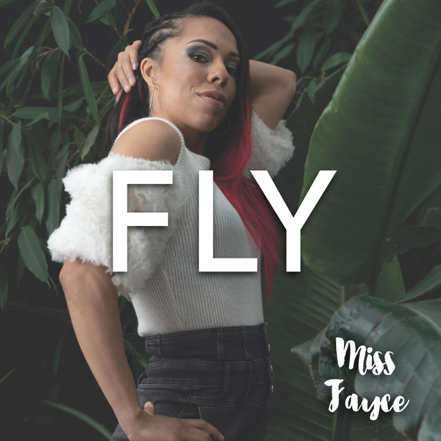Fly cover