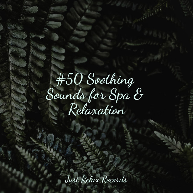#50 Soothing Sounds for Spa & Relaxation - Album by Yoga | Spotify