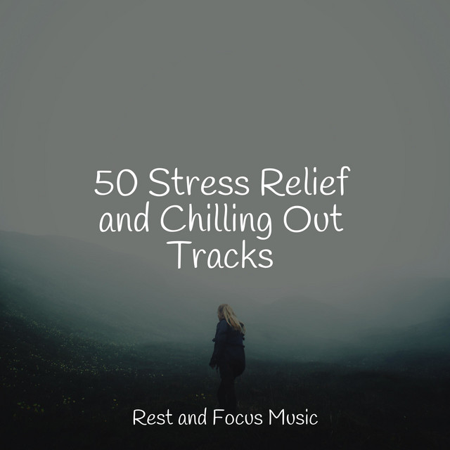 50 Stress Relief and Chilling Out Tracks - Album by Relaxing Spa Music ...