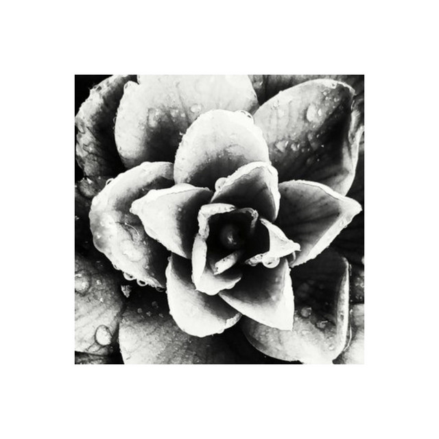 Sun and Moon and All the Stars cover art