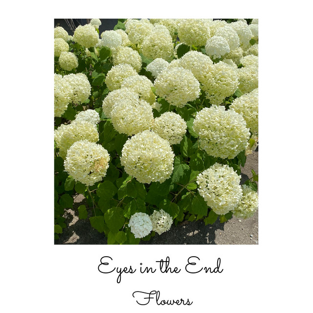 Eyes in the End cover art