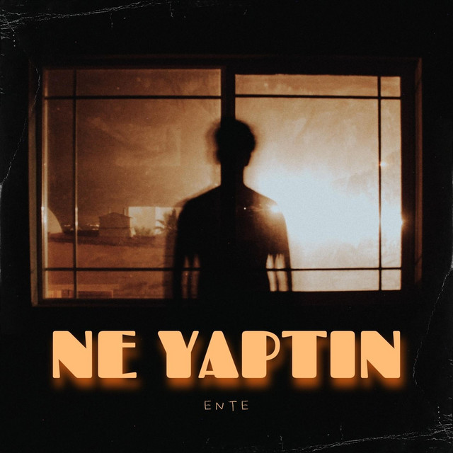 Ne Yaptın