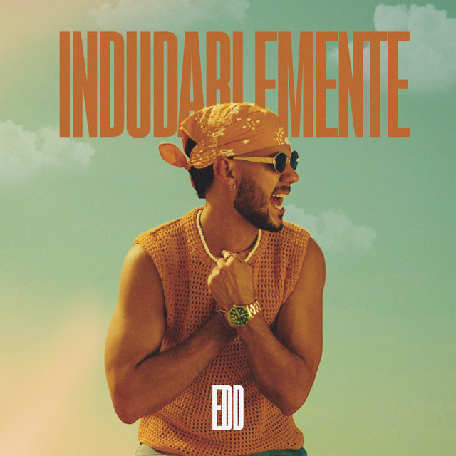 INDUDABLEMENTE cover art