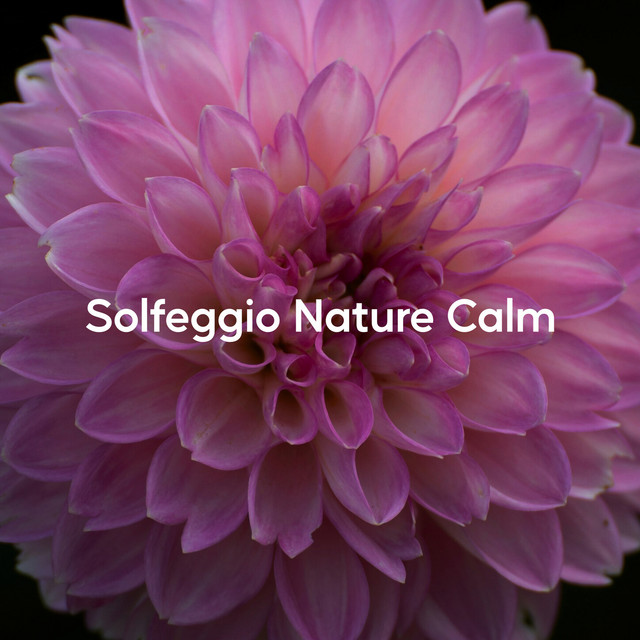 Solfeggio Nature Calm (Healing Flower Solfeggio)