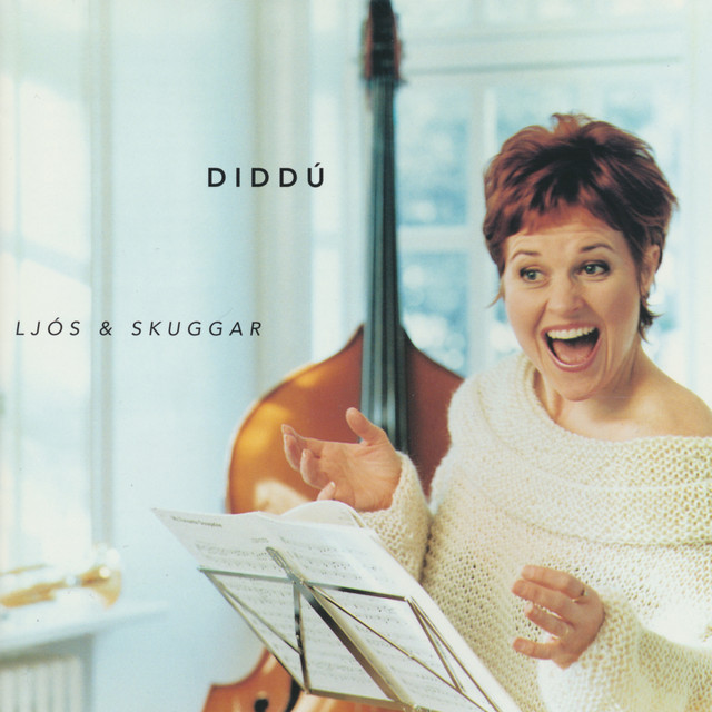 Ljós og skuggar cover art