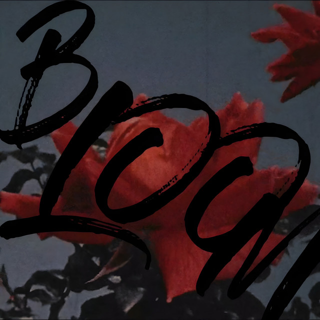 Bloom