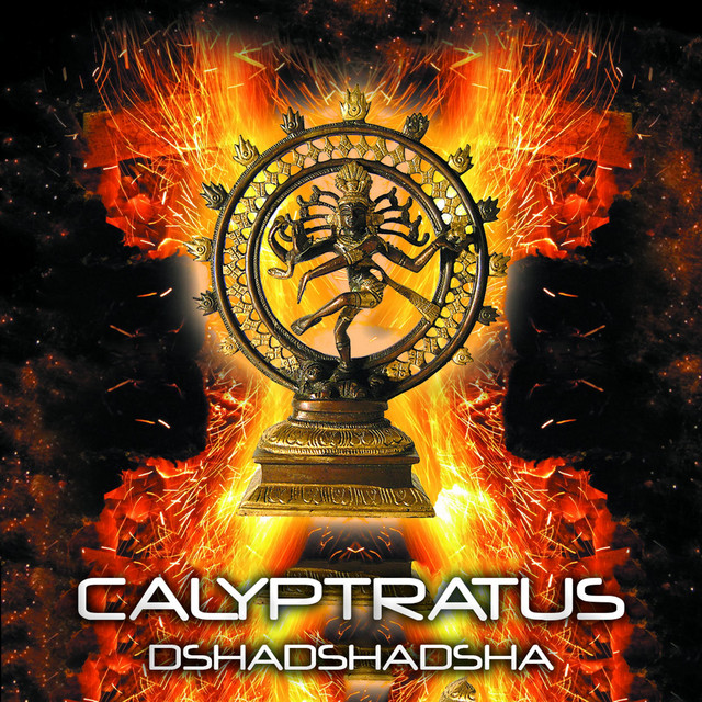 Dshadshadsha cover