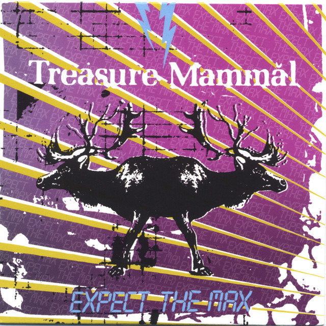 Expect The Max cover art